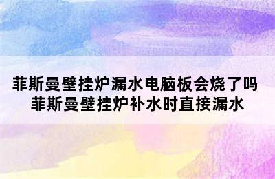 菲斯曼壁挂炉漏水电脑板会烧了吗 菲斯曼壁挂炉补水时直接漏水